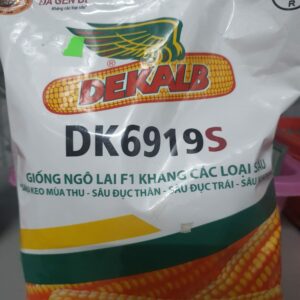 G Bắp lai mỹ DK6919S 1Kg