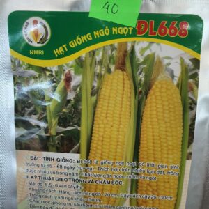 G Bắp ngọt ĐL668 50g
