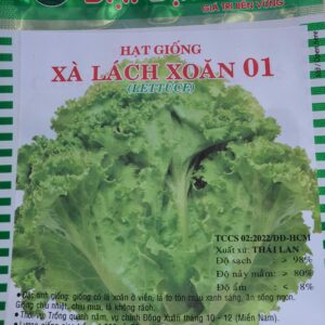 G Xà lách xoăn 01 (Lettuce) 5g