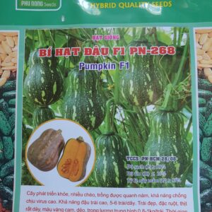 G Bí Hạt Đậu F1 PN-268 Pumpkin 1g