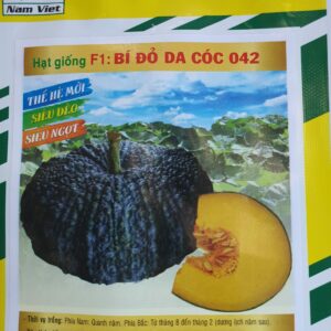 G F1 Bí đỏ da cóc 042 1g