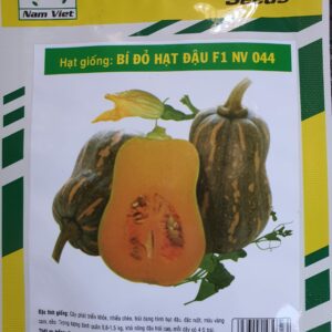 G Bí đỏ hạt đậu F1 NV 044 2g