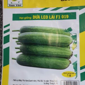 G Dưa leo lai F1 019 1g