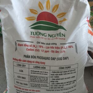 D.A.P 18-46 Tường Nguyên