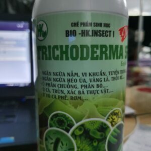Chế phẩm sinh học Trichoderma SP