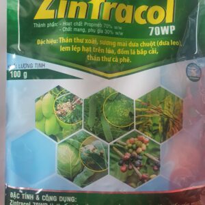 Thuốc trừ bệnh Zintracol 70WP