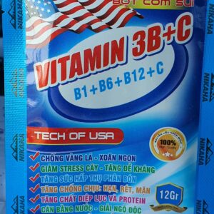 Bột cốm sủi Vitamin 3B+C 12gr