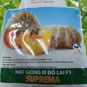 G bí đỏ lai F1 Suppema Hai mũi tên đỏ