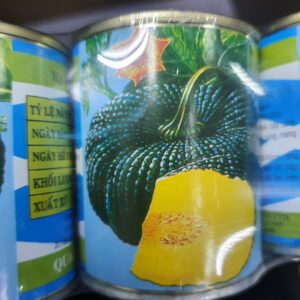 G bí rợ Bí da cóc lon